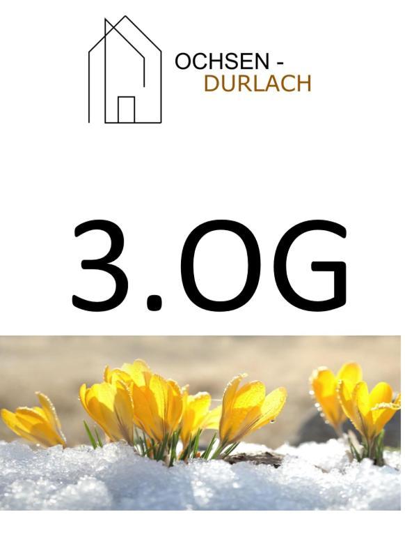 Ochsen-Durlach Karlsruhe Zimmer foto