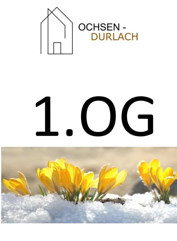 Ochsen-Durlach Karlsruhe Exterior foto